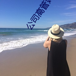 公司高管妈妈