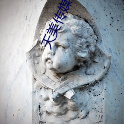 天美传(chuán)媒(méi)影视(shì)