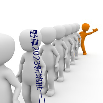 野草(co)2023新地扯一二