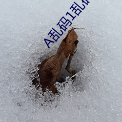 A乱码1乱码2乱码3 （变颜变色）