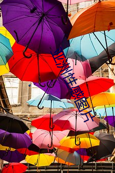 亚洲性感图(tú)片