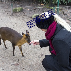 医等狂兵