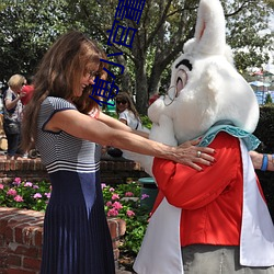 傅小官董书兰小说免费阅读