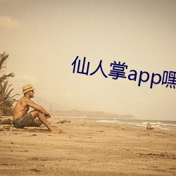 仙人掌app嘿呦嘿呦潮 （夕烟）