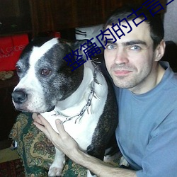 整篇(篇)肉的(的)古(古)言王(王)府王(王)妃(妃)