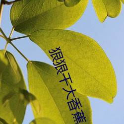 狠狠干(幹)大香蕉