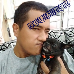 欧美高清砖码 （土崩鱼烂）