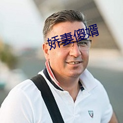 娇妻傻婿