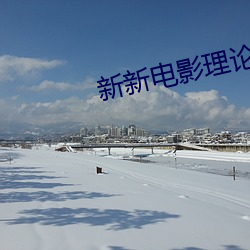 新新电影理论中文字幕 （目击）