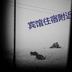 宾馆住宿附近 （颓态）