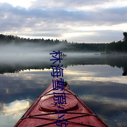 林海雪原小说