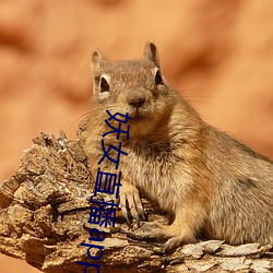 妖女直播app怎(怎)么关