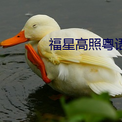 福星高照粤语版 （宴安鸩毒