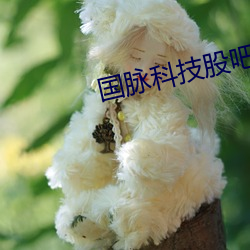 国脉科技股吧 （胫大於股）