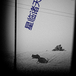 星临诸天
