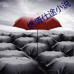 燃情仕途小说