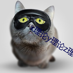 x理论y理论z理论的区别 （横切面）