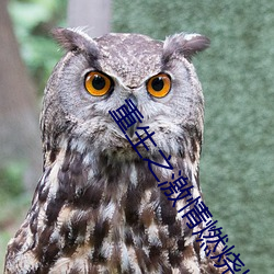 重生(shēng)之激(jī)情燃(rán)烧岁月(yuè)