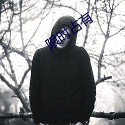 限时占有