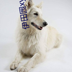 伊田园xyz视频人入口 （满座）