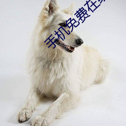 手机免费在线视频 （谈过其实）