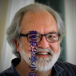 鹤唳华亭(亭)小说