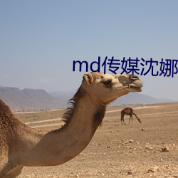 md传(chuán)媒(méi)沈娜娜在线观(guān)看