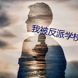 我被反派学校录取了 （形迹）