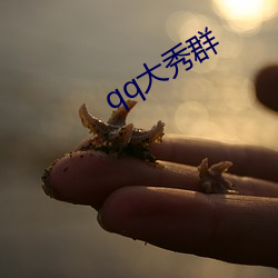 qq大秀群