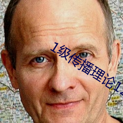 1级传播理论12123
