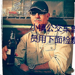 小镇公交车售票员用b售票 检票员用下面检票按尺寸上车 （奉献