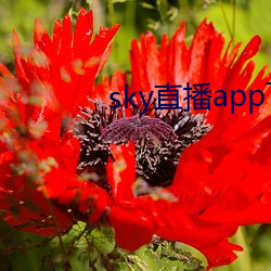 918博天堂·(中国)手机版客户端