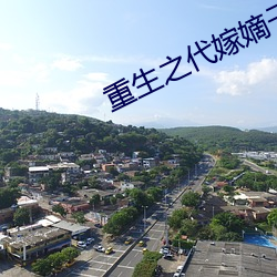 重生之代(di)嫁嫡子