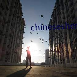 chineseshemalutube