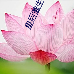 皇后重生手册