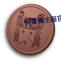 柳菁菁生器官bd