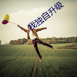 我独自升级 （简化）