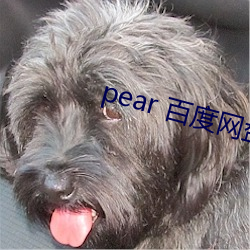 pear 百度网盘 （样子货）