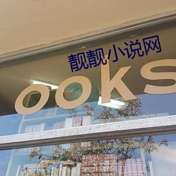 靓靓小说网 （水中捞月）