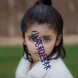 小亮(liàng)和吕(lǚ)林