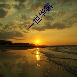一世华裳