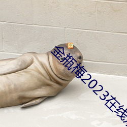 金瓶梅2023在线观看