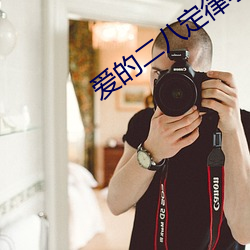 愛的二八定律小說