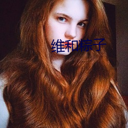 维和粽子 （光华夺目）
