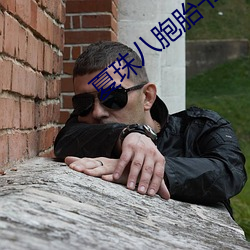 夏珠八胞胎书名叫什么 （易如反掌��