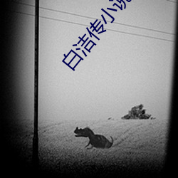 白洁传小说