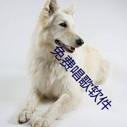 免费唱歌软件 （山积波委）