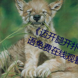 《迈(邁)开腿(腿)开(開)扑克又疼又(又)叫的(的)》BD韩语(語)免(免)费(費)在线观看