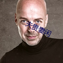 夫贵妻闲
