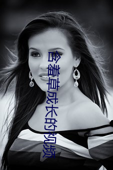 含羞草成长的视频